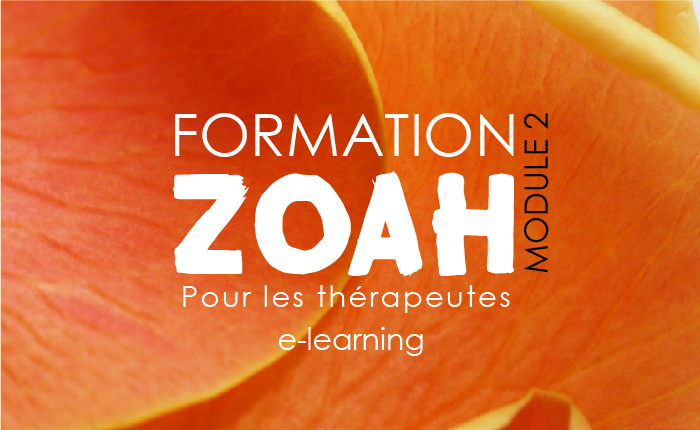 ZOAH – Conseillers (Module 2)